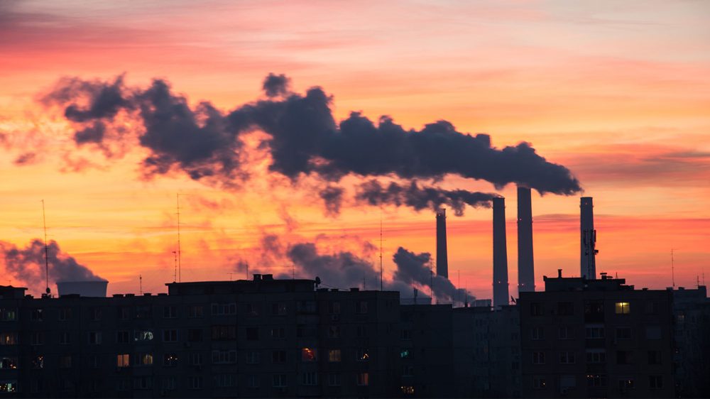 Big Brains Pollution