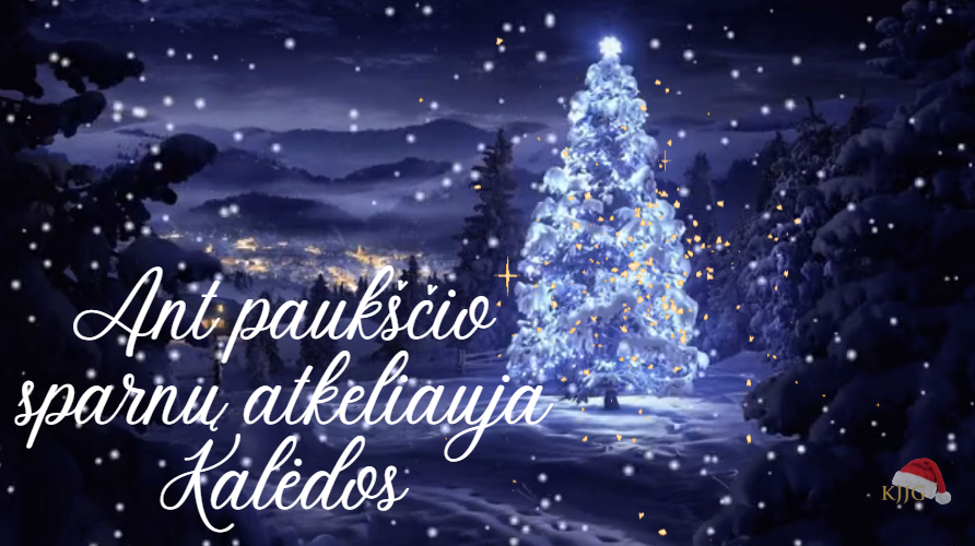 Ekrano Nuotrauka 2023 12 15 134158